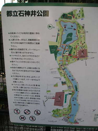 石神井公園　１