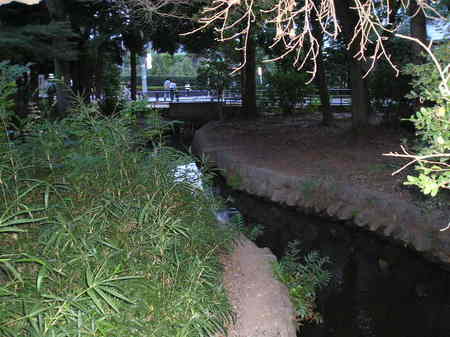 石神井公園　５５