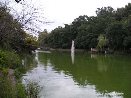石神井公園　５６