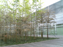 国立新美術館　竹林