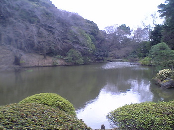新江戸川公園　１
